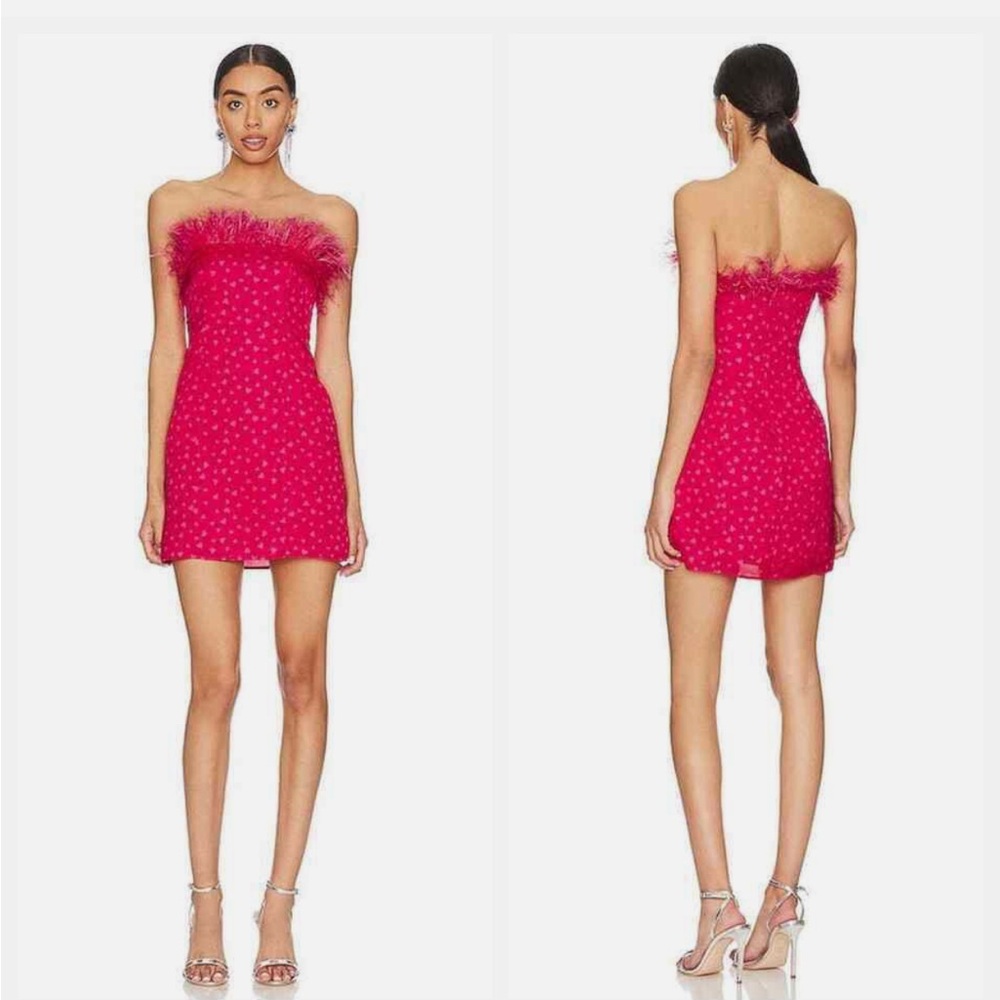 Lovers and friends feather mini dress